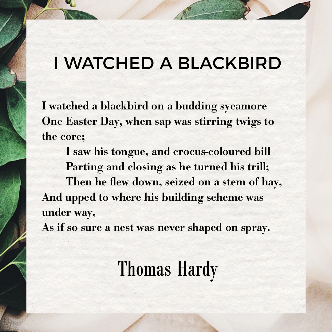 i-watched-a-blackbird-by-thomas-hardy