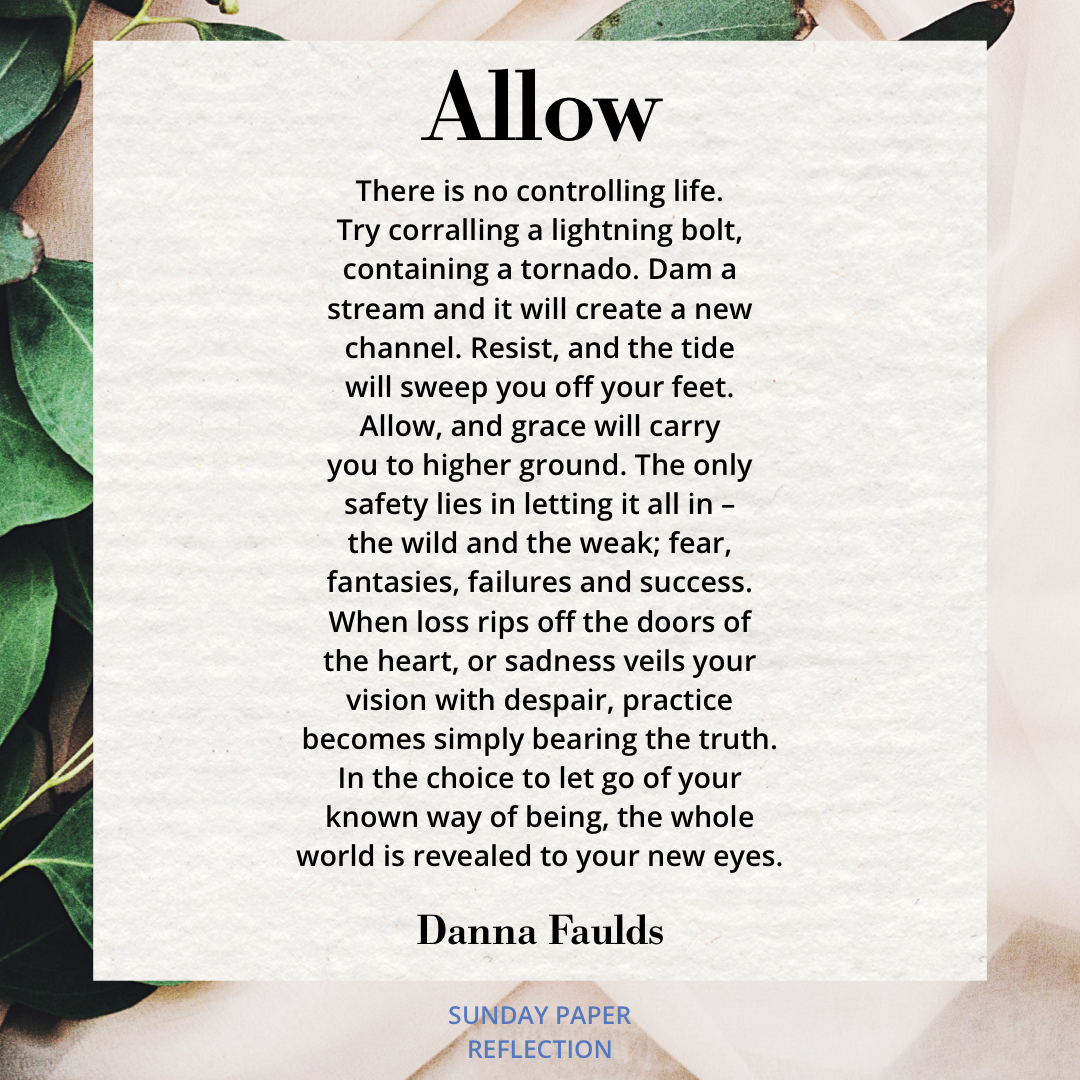 Allow by Danna Faulds