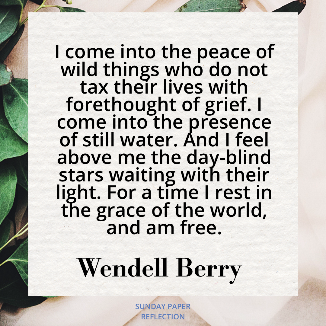 I Rest by Wendell Berry