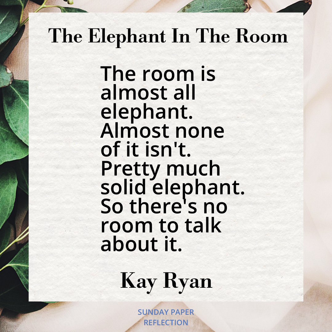 The Elephant In The Room by Kay Ryan