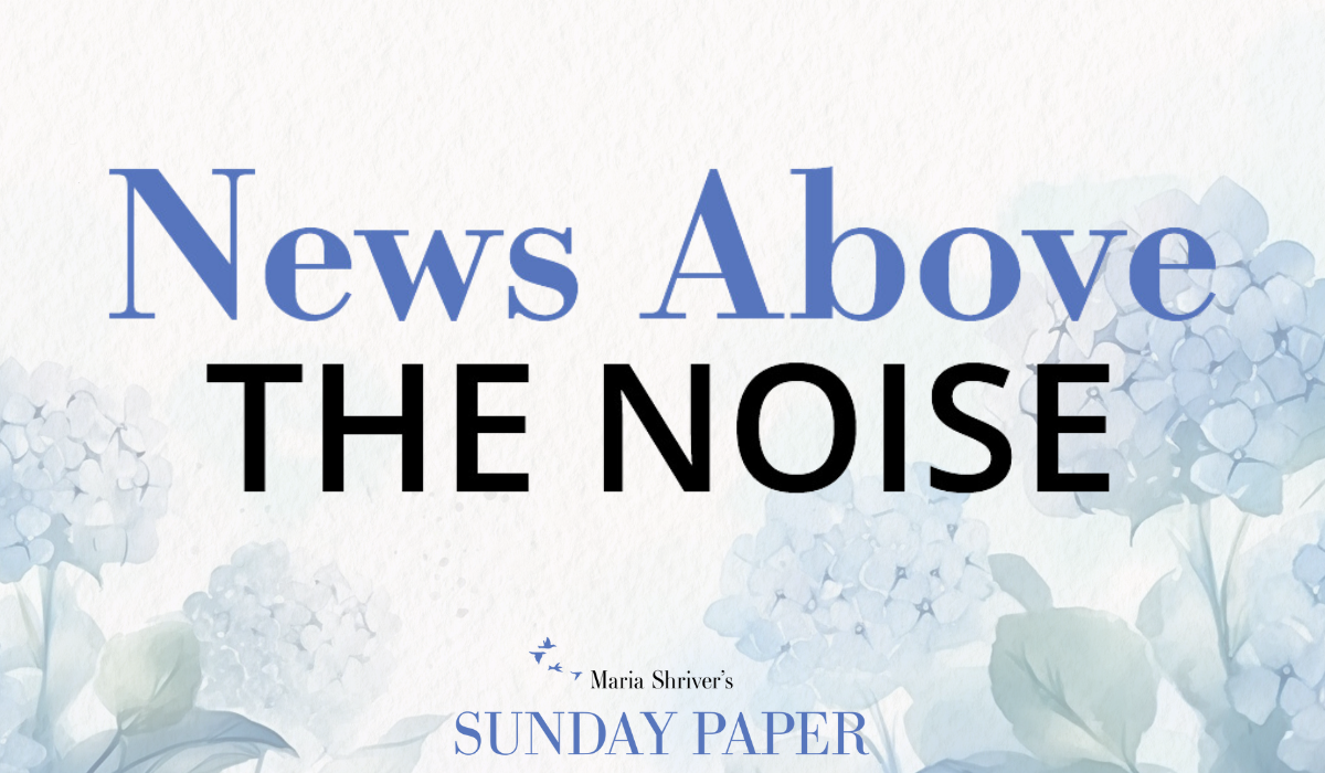 News Above the Noise—Week of October 29, 2023