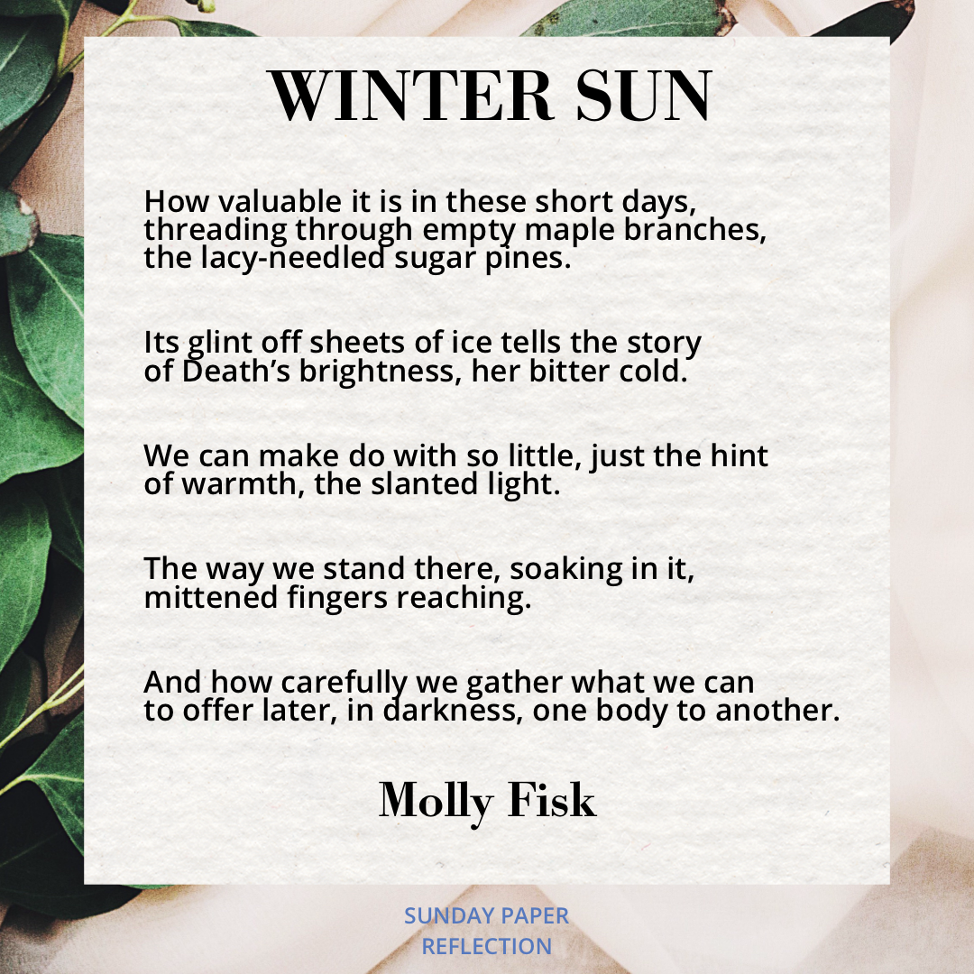 Winter Sun by Molly Fisk