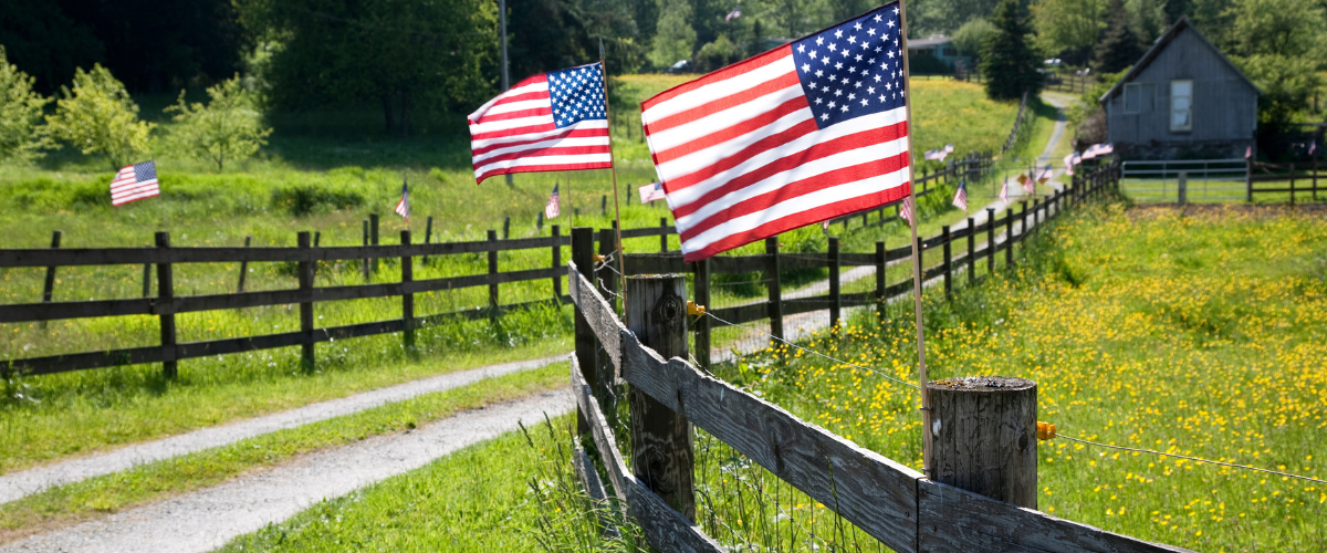 American flags on a fence post.