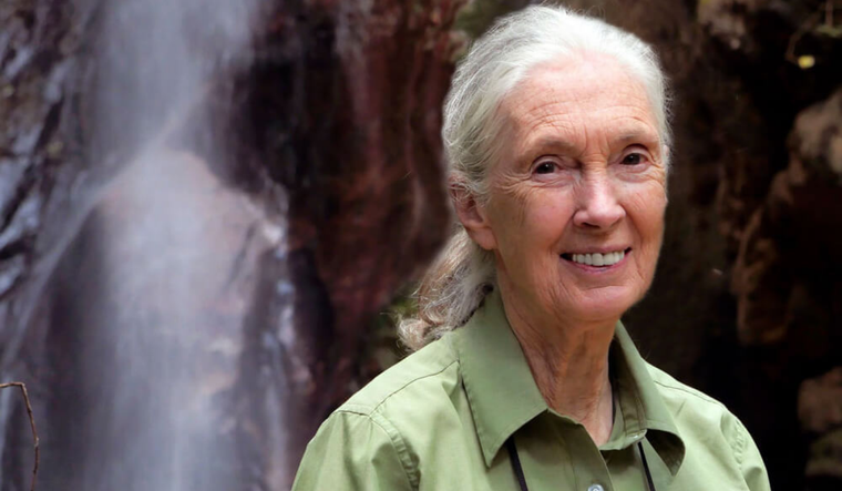 Jane Goodall