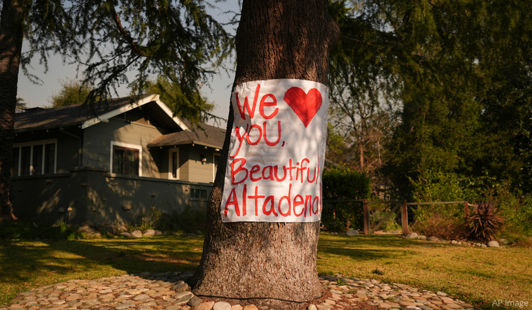 We Love You, Beautiful Altadena poster on a tree.