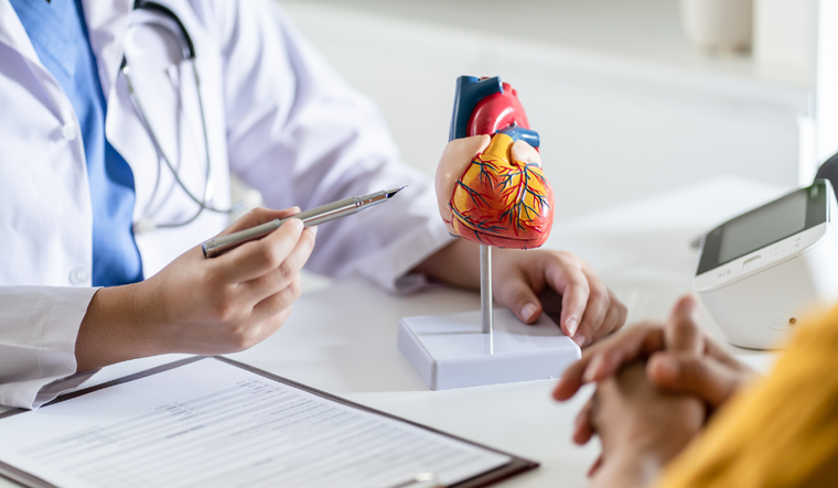 A doctor points at a detailed heart model.